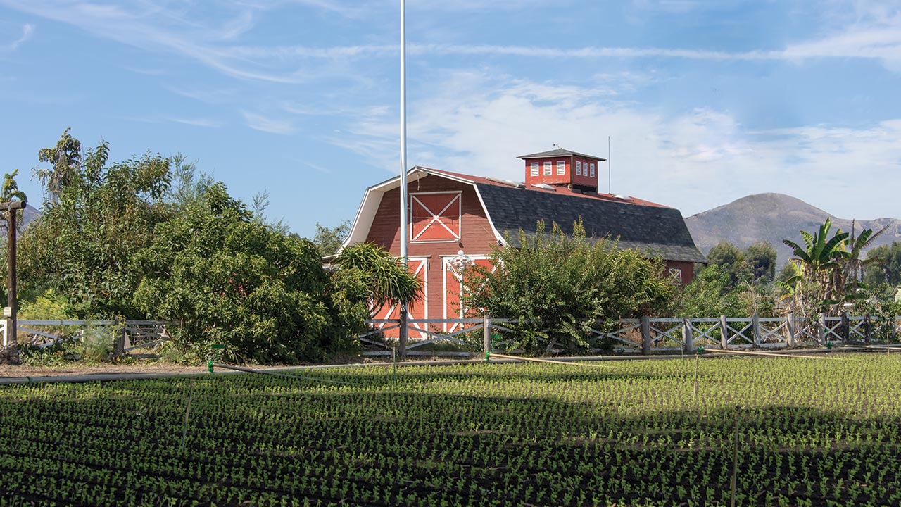 Barn Barn